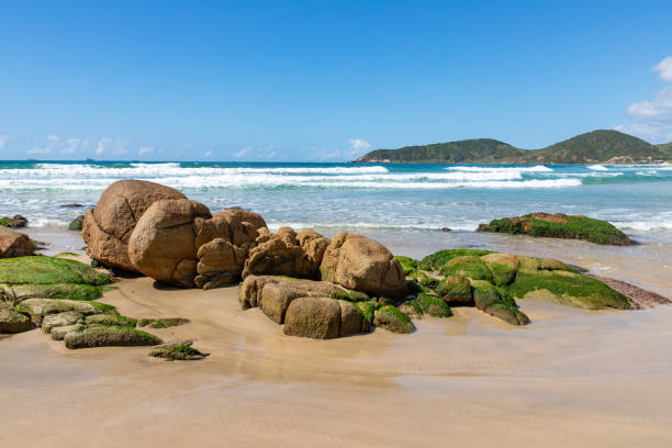 istock Rocks with algaes, sand and waves 1348680626