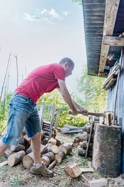 istock Man in Summer Chopping Wood for Winter 1348691952