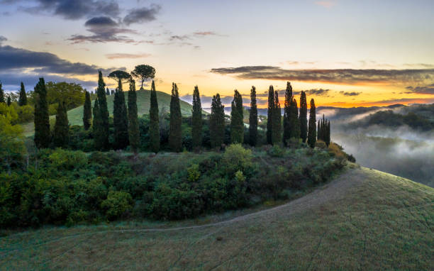 istock Dreamy landscape Tuscany 1348694280