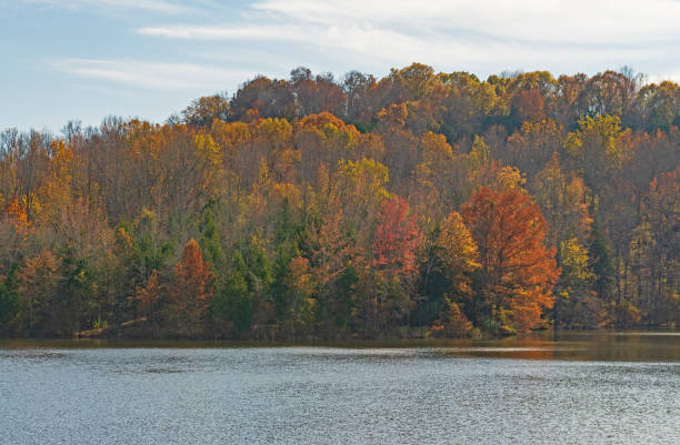 istock Iridescent Fall Colors on a Remote Lake 1348696461