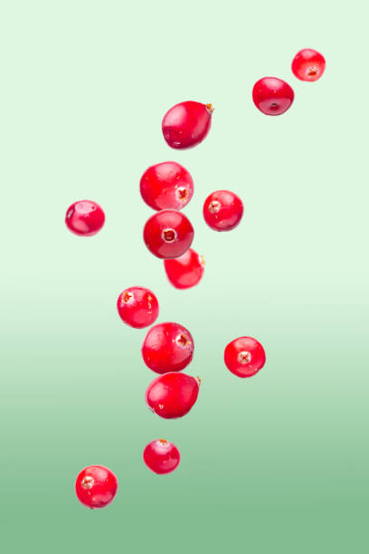 istock fresh cranberries fly in the air 1348698745