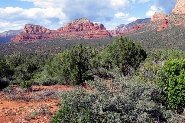 istock Sedona Arizona 1348717161