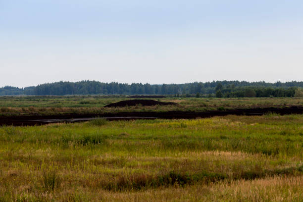 istock the flooded area where peat is extracted 1348719775