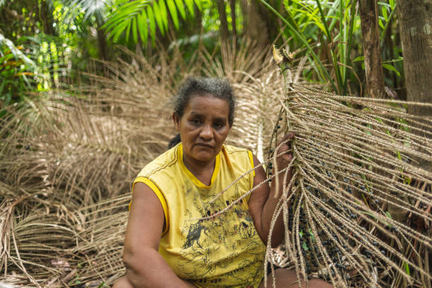 30+ Amazon Women Forest Concentration Stock Photos, Pictures