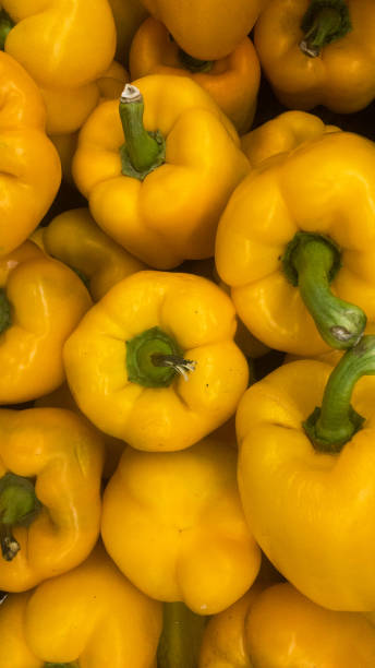 gelbe paprika. vertikale ausrichtung paprika. pflanzliche lebensmittel - green bell pepper bell pepper red bell pepper groceries stock-fotos und bilder