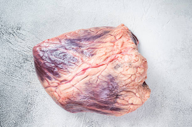 istock Beef or veal raw heart on a butcher table. White background. Top View 1348754485