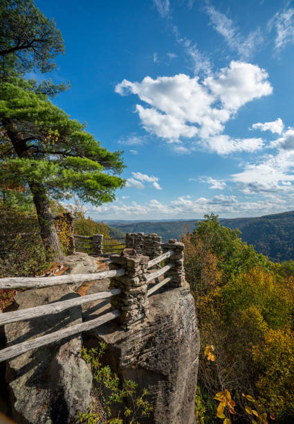 istock Coopers Rock state park overlook over the Cheat River in West Virginia with fall colors 1348756408