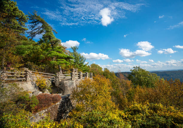 istock Coopers Rock state park overlook over the Cheat River in West Virginia with fall colors 1348756536