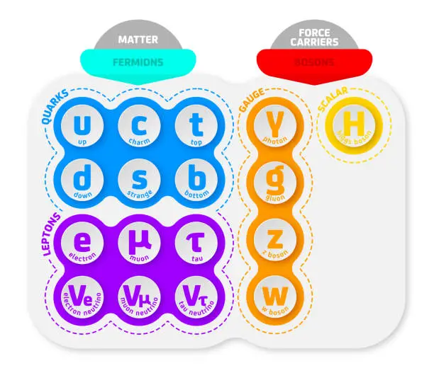 Vector illustration of Standard model of elementary particles