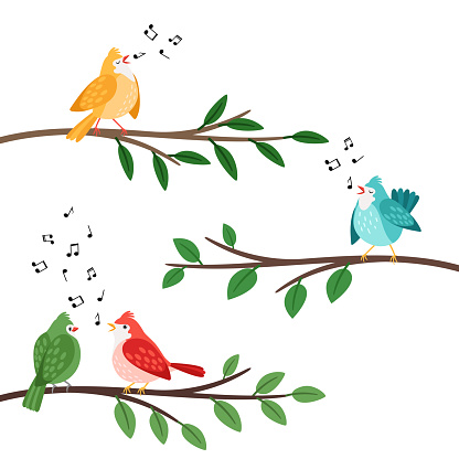 Bird songs. Singing birds friends on tree branches, birdes cartoon musical baby background, romantic couple banner, little birdie whistle song cute vector illustration isolated on white