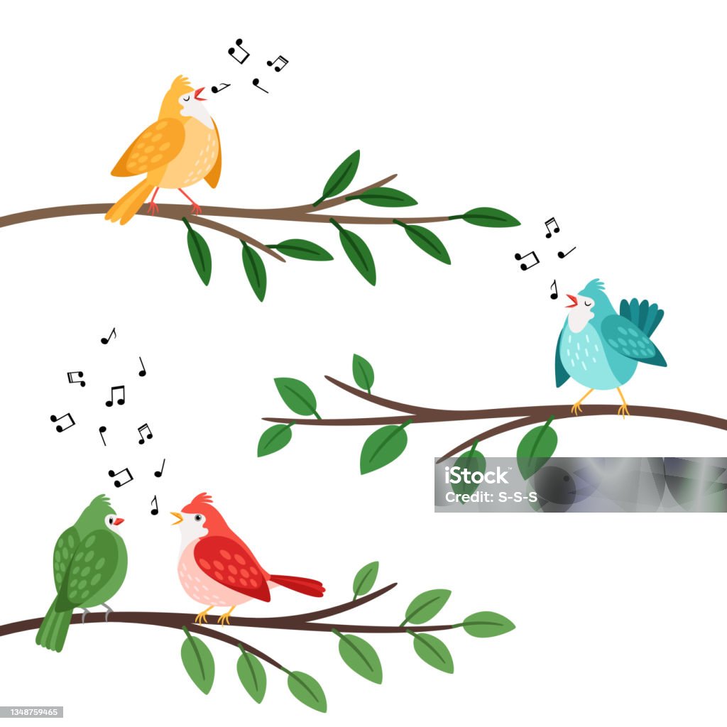 Bird Songs Singing Birds Friends On Tree Branches Birdes Cartoon Musical  Baby Background Romantic Couple Banner Little Birdie Whistle Song Cute  Vector Illustration Isolated Stock Illustration - Download Image Now -  iStock