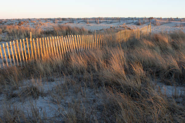 istock Picket Fence at Fire Island Beach 1348764965