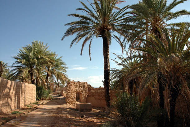 istock Palm grove of  Figuig in south-eastern Morocco 1348765647
