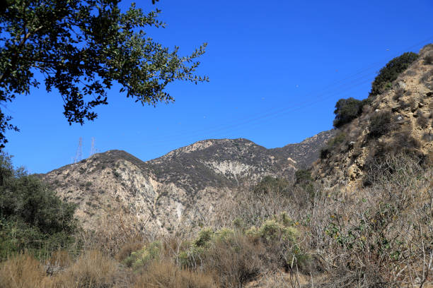 istock Transmission tower VS Chaparral - Mount Wilson 1348768017