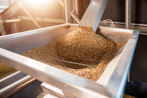 o processo tecnológico de moagem de sementes de malte no moinho - food and drink industry - fotografias e filmes do acervo