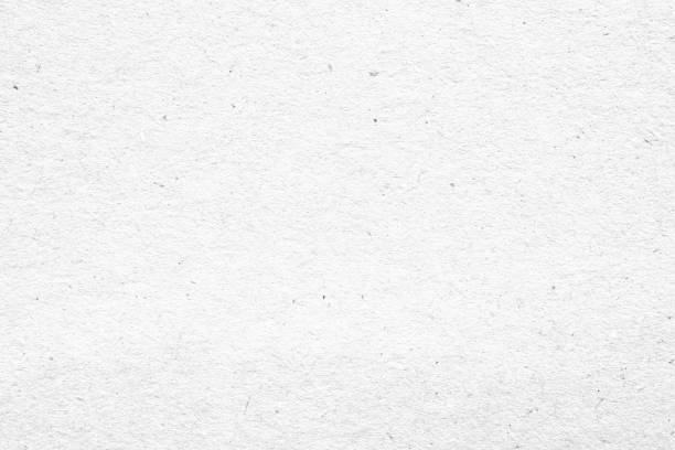 istock White recycle paper cardboard texture background 1348768244