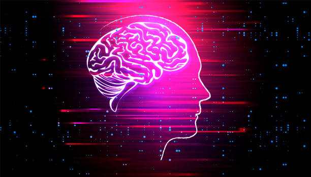 ilustraciones, imágenes clip art, dibujos animados e iconos de stock de visualización del cerebro humano. concepto futurista de inteligencia artificial. diseño estético de la mente cibernética - technology digital display digitally generated image brain