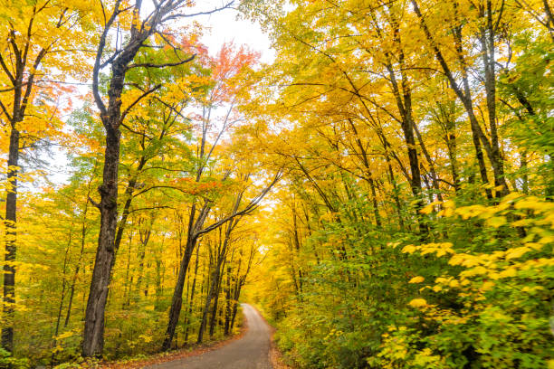 istock Fall colors at Pathfinder Island and Source Lake, Algonquin Provincial Park, Canada 1348814930