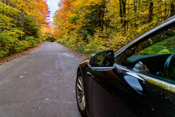 istock Fall colors at Pathfinder Island and Source Lake, Algonquin Provincial Park, Canada 1348815047