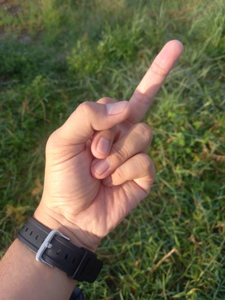 istock Male left hand showing middle finger in grass garden 1348818423