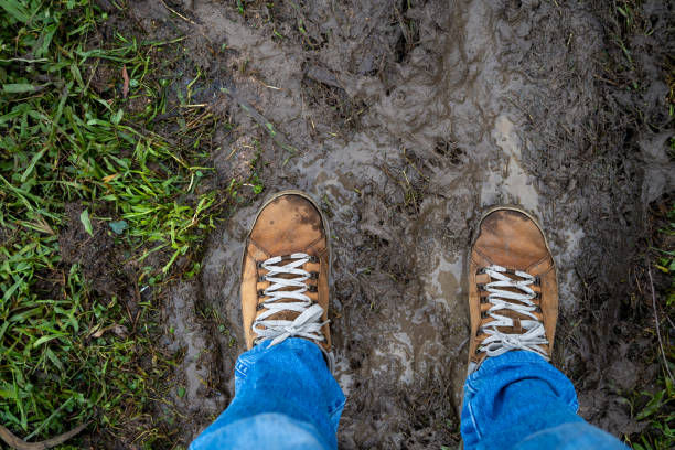 Top view of a foot in hiking shoe on a surface of soil and stones