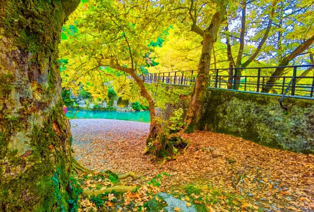 Photo of voidomatis river in aristi village trees rafting boats in autumn season