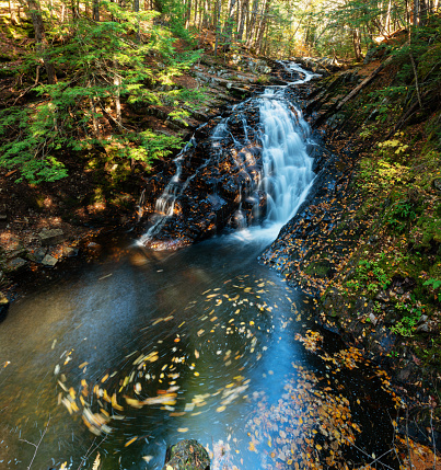 Leaves swirl at the bottom of a small waterfall on an October afternoon.