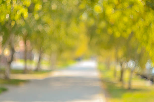 istock Unfocused morning alley. Urban background 1348825762