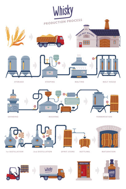 Whiskey Production Process with Distillation, Aging and Packaging Steps Vector Set Whiskey Production Process with Distillation, Aging and Packaging Steps Vector Set. Whisky as Distilled Alcoholic Beverage Commercial Manufacture Concept bourbon barrel stock illustrations