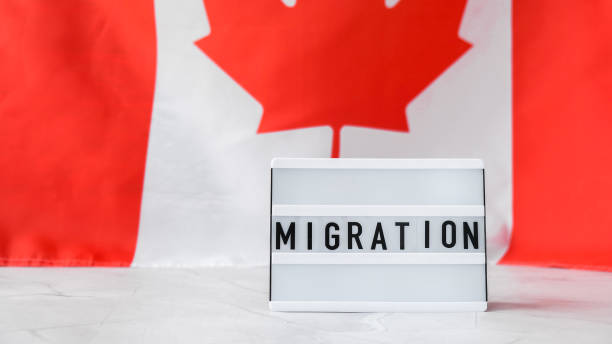istock The National Flag of Canada. Lightbox with text MIGRATION Canadian Flag or the Maple Leaf. Patriotism. International relations concept. Independence day 1348842100