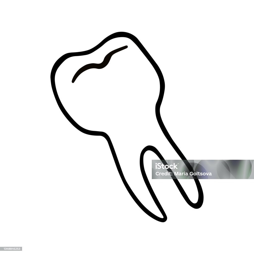 Pull Tooth Vector A Human Tooth With A Root A Tooth Pulled Out A Primitive Handdrawn ...