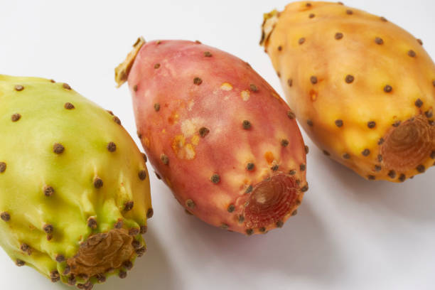 istock Green, red and orange prickly pears  in a row 1348847490