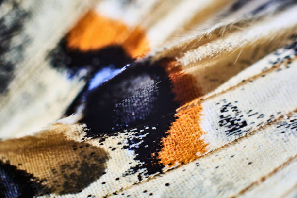 istock Old World swallowtail butterfly wing macro ,Papilio machaon 1348851856