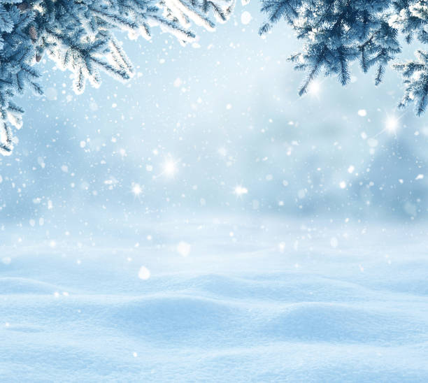 istock Winter Christmas background with fir tree branch 1348852504