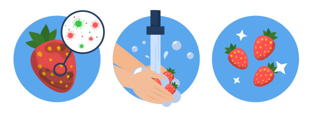 wasch-erdbeer-konzept vektor isoliert. schmutzige beere - washing fruit preparing food strawberry stock-grafiken, -clipart, -cartoons und -symbole