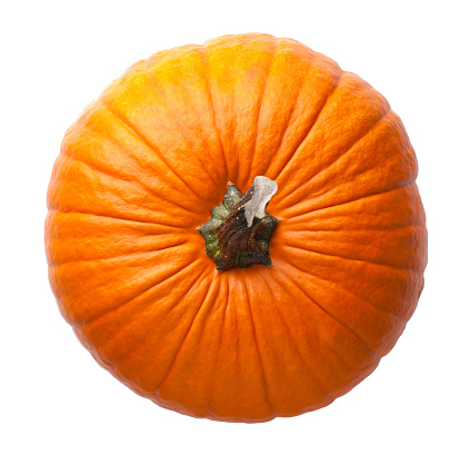 Pumpkin isolated on white background. View from above