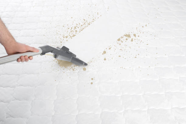istock Man disinfecting mattress with vacuum cleaner, closeup 1348856818