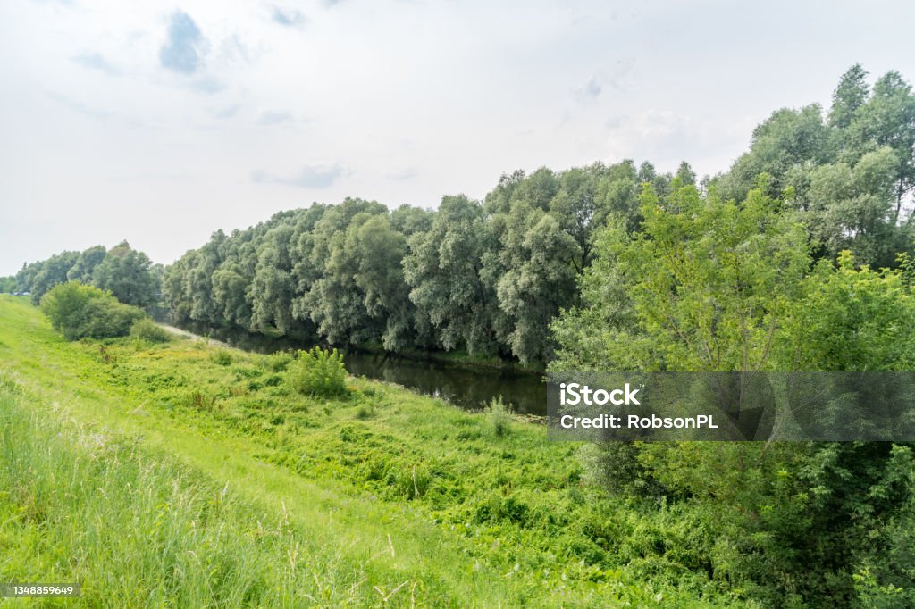 Wda river at summer time in Poland. Cloud - Sky Stock Photo