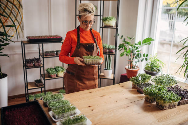 istock Mature woman nurturing plants 1348859771