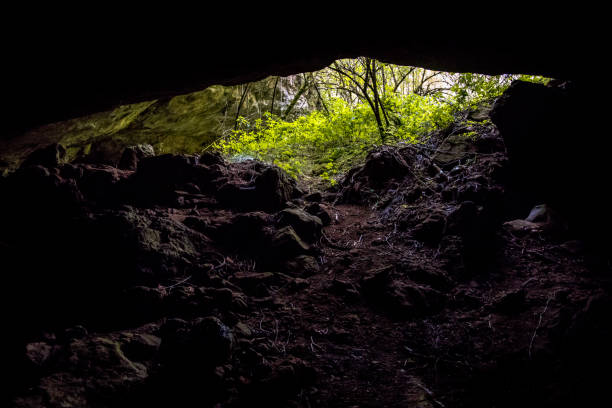 istock Entrance of limestone cave 1348862362