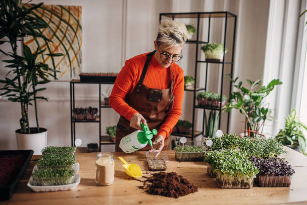 istock Mature woman planting micro plants 1348863298