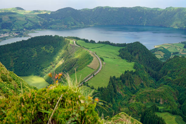 istock nature on the azores islands 1348865538