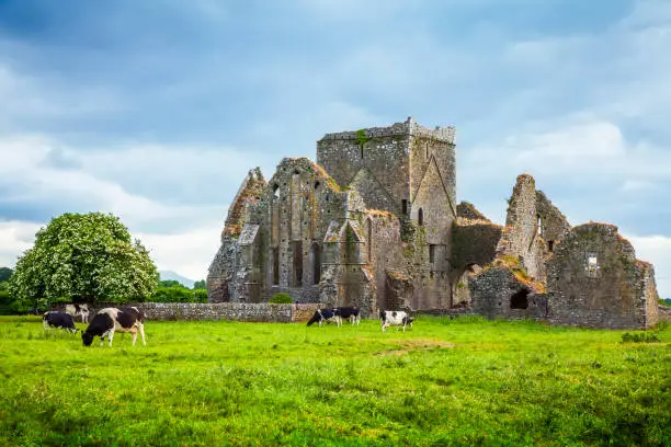 Photo of Irish typical landscape with pasture and ancient ruins, Ireland
