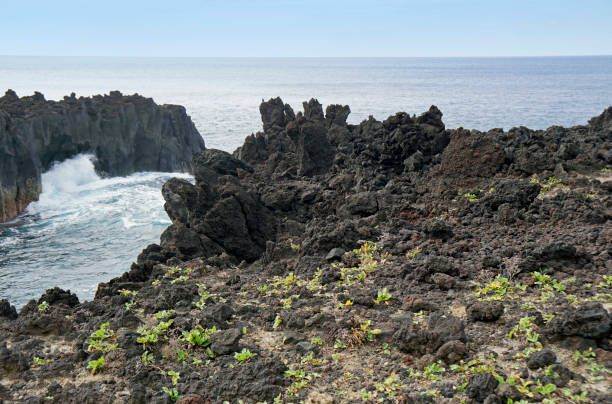 istock nature on the azores islands 1348865683