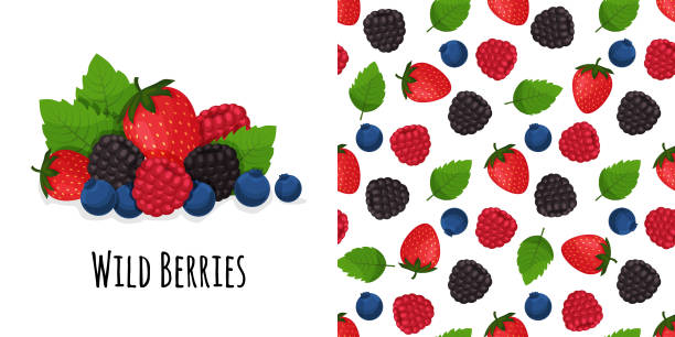 ilustrações de stock, clip art, desenhos animados e ícones de berry mix on background. dark berries seamless pattern. - berry