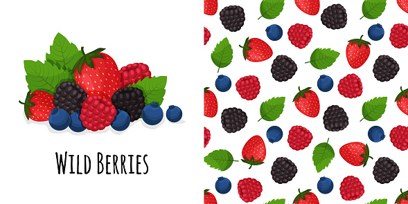 Berry mix on background. Dark berries seamless pattern.