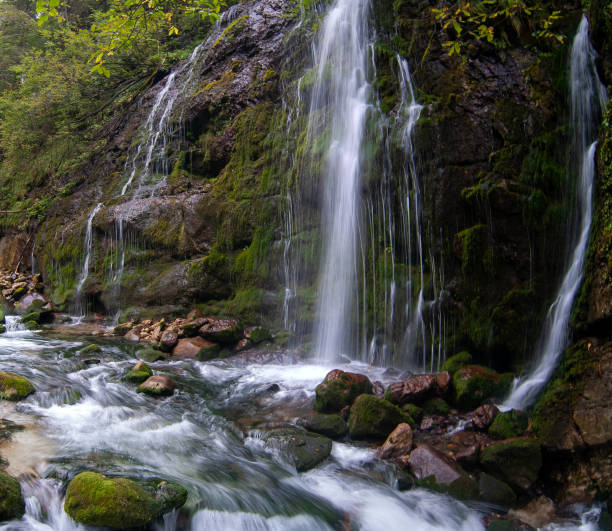 istock mountain creek and moving water 1348867276