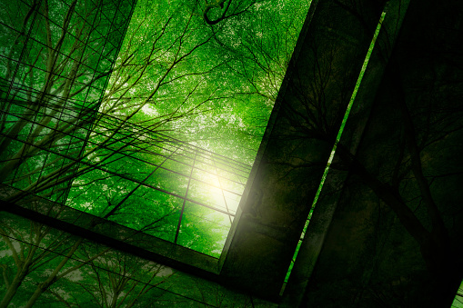 Edificio ecológico en la ciudad moderna. Ramas de árboles verdes con hojas y construcción de vidrio sostenible para reducir el calor y el dióxido de carbono. Edificio de oficinas con entorno verde. Concepto Go green. photo