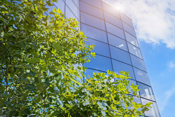 istock Green City – Green Building 1348868042