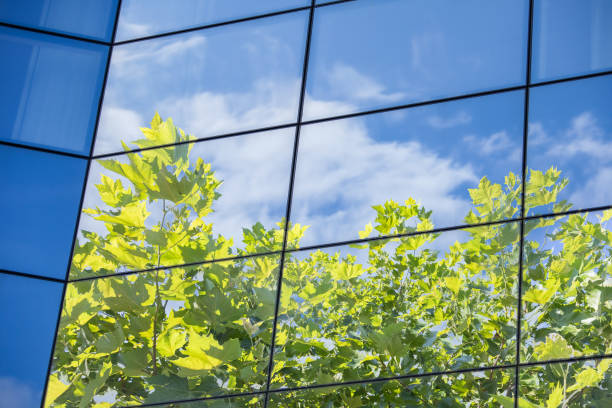 Green City – Green Building